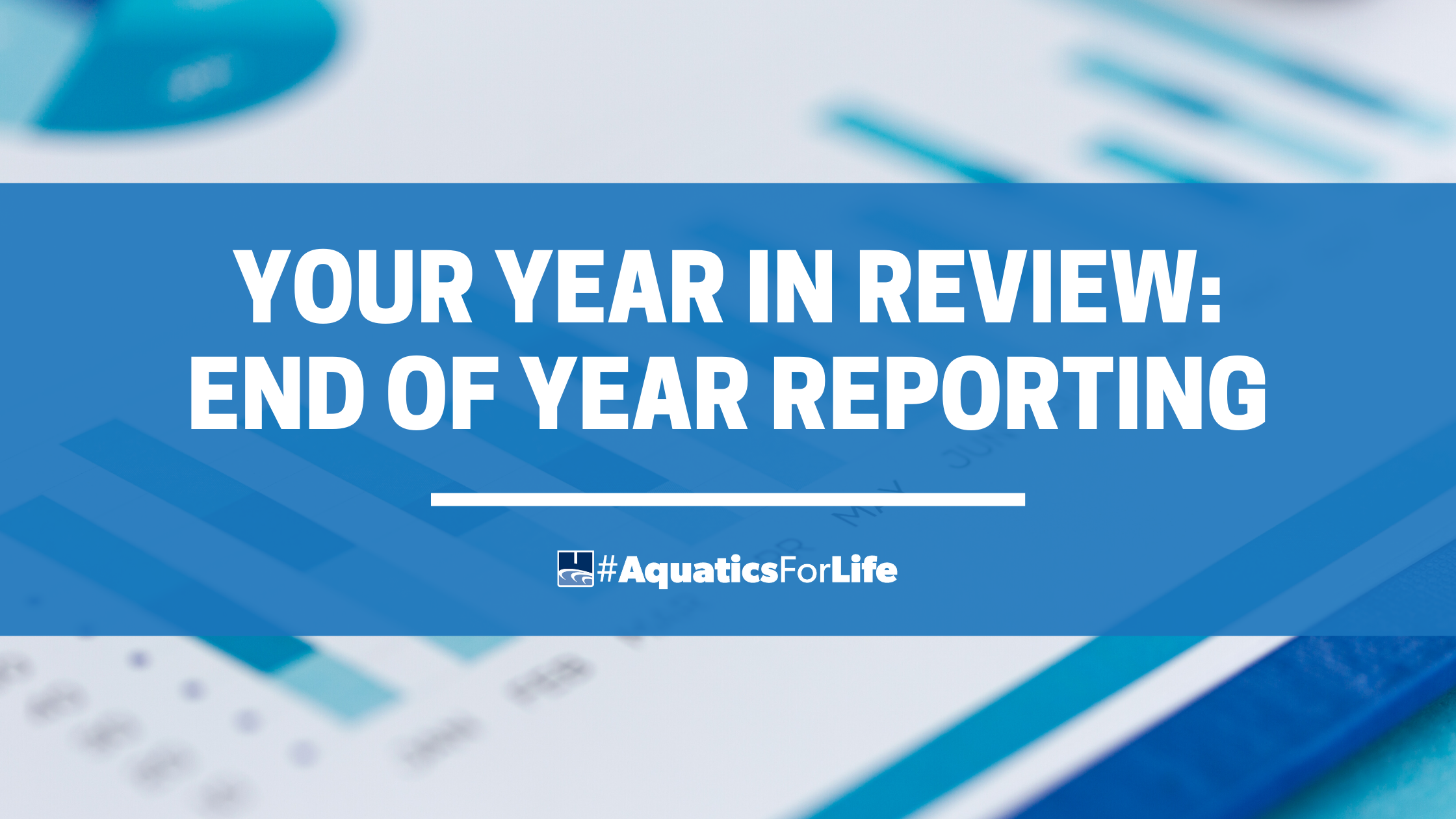 Your Year in Review – End-of-Year Reporting