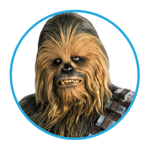 April Fool's Day Prank April Fool's Day Prank - Picture of Chewbacca