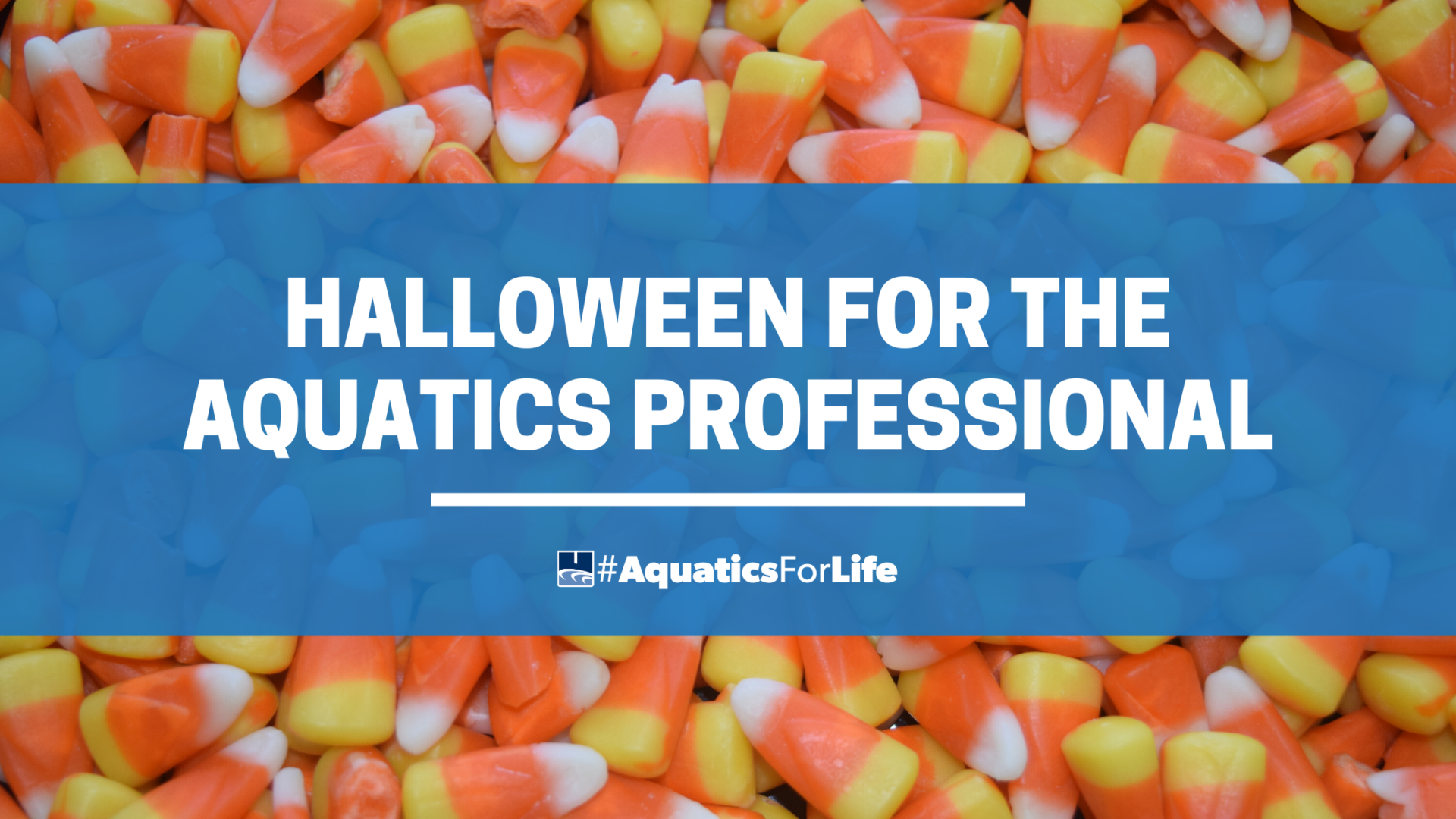 Halloween for the Aquatics Professional