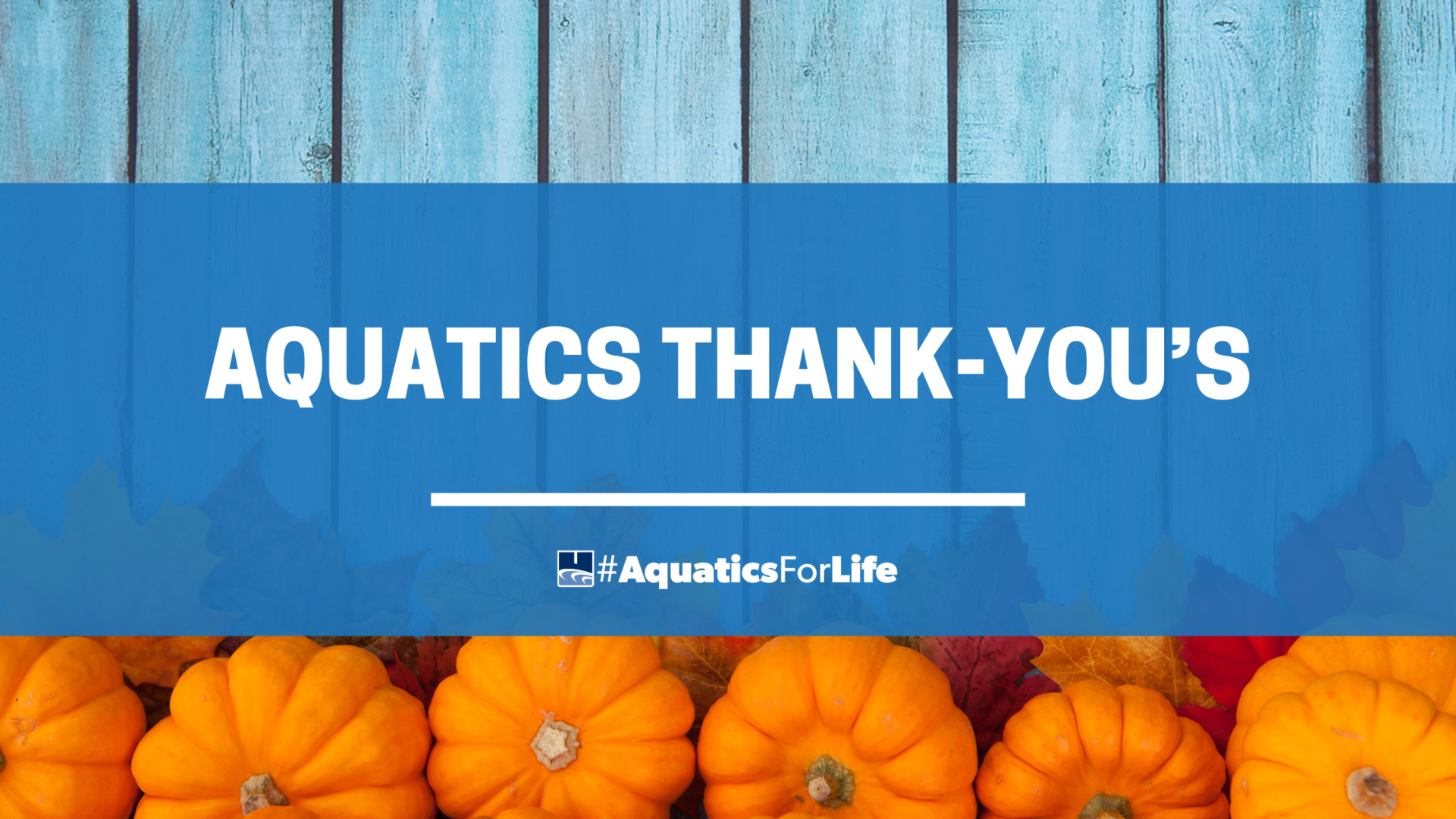 Aquatics Team Thank-You’s